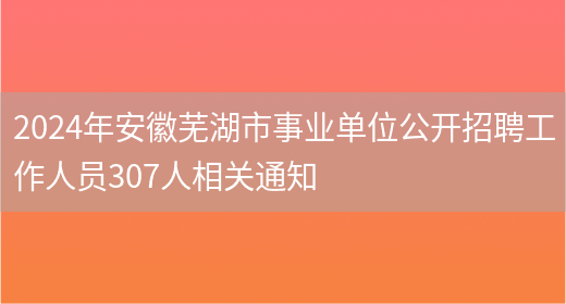 2024年安徽芜湖市事业单位公开招聘工作