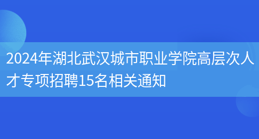 2024年湖北武汉城市职业学院高层次人才